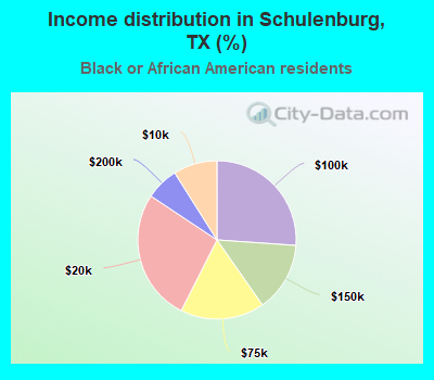 Income distribution in Schulenburg, TX (%)