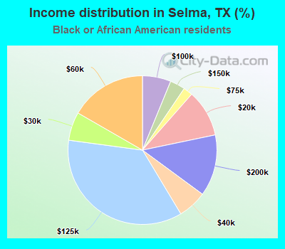 Income distribution in Selma, TX (%)