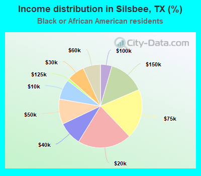 Income distribution in Silsbee, TX (%)