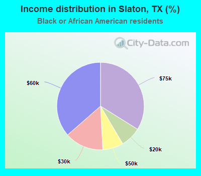 Income distribution in Slaton, TX (%)