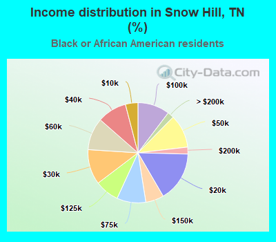 Income distribution in Snow Hill, TN (%)
