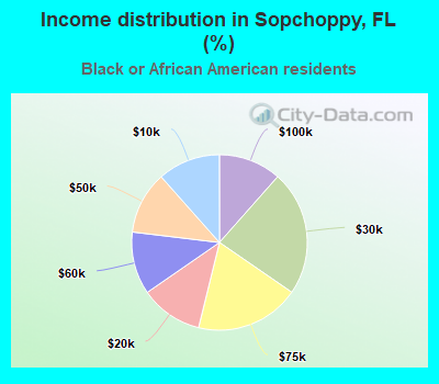 Income distribution in Sopchoppy, FL (%)