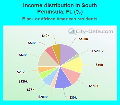 Income distribution in South Peninsula, FL (%)