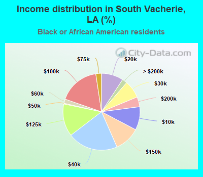 Income distribution in South Vacherie, LA (%)