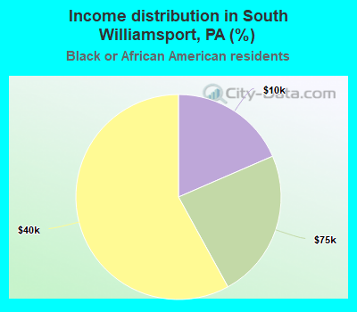 Income distribution in South Williamsport, PA (%)