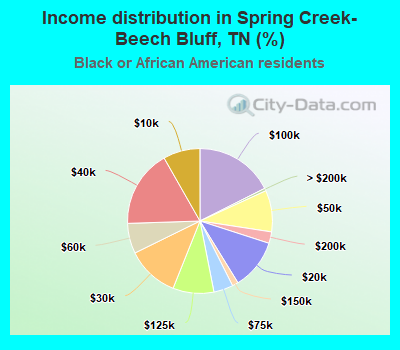 Income distribution in Spring Creek-Beech Bluff, TN (%)