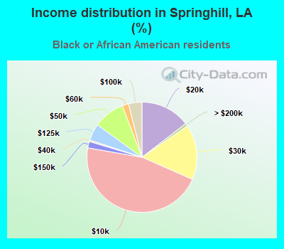 Income distribution in Springhill, LA (%)