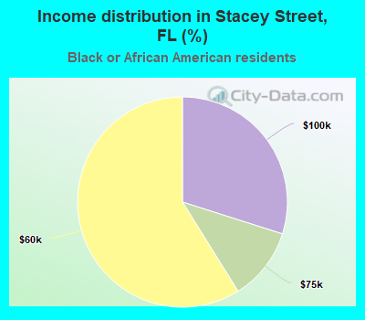 Income distribution in Stacey Street, FL (%)