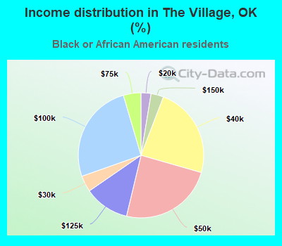 Income distribution in The Village, OK (%)