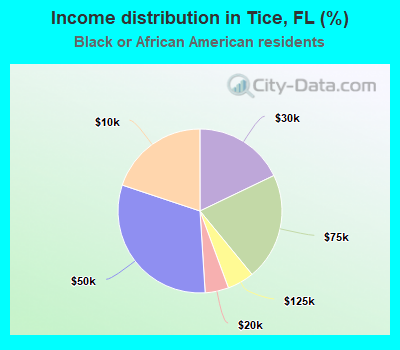 Income distribution in Tice, FL (%)