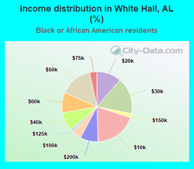 Income distribution in White Hall, AL (%)