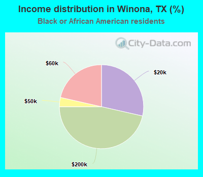 Income distribution in Winona, TX (%)