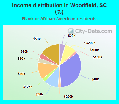 Income distribution in Woodfield, SC (%)
