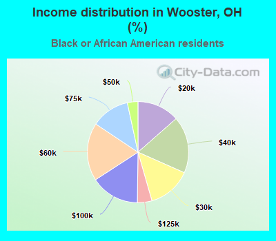 Income distribution in Wooster, OH (%)