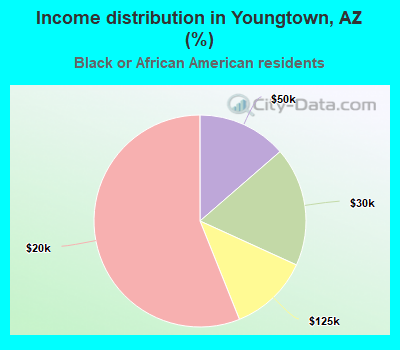 Income distribution in Youngtown, AZ (%)