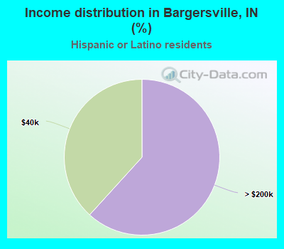 Income distribution in Bargersville, IN (%)
