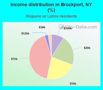 Income distribution in Brockport, NY (%)