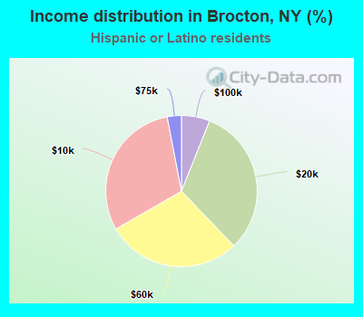 Income distribution in Brocton, NY (%)