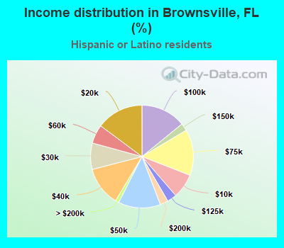 Income distribution in Brownsville, FL (%)