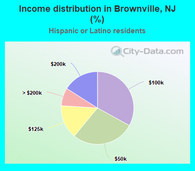 Income distribution in Brownville, NJ (%)