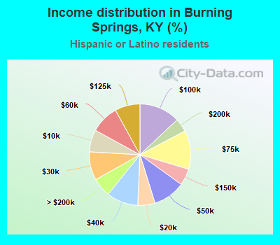 Income distribution in Burning Springs, KY (%)