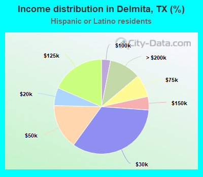 Income distribution in Delmita, TX (%)