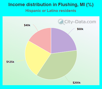 Income distribution in Flushing, MI (%)