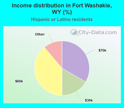 Income distribution in Fort Washakie, WY (%)
