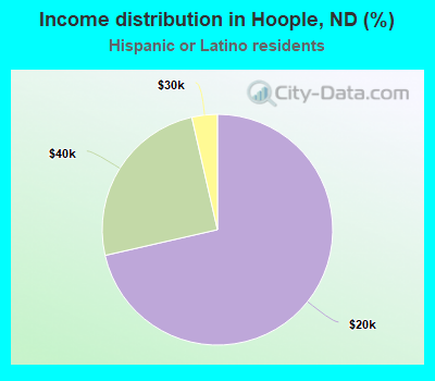 Income distribution in Hoople, ND (%)