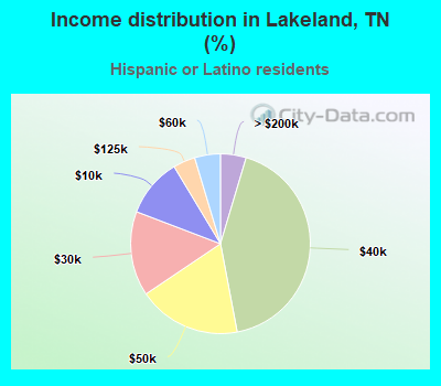 Income distribution in Lakeland, TN (%)