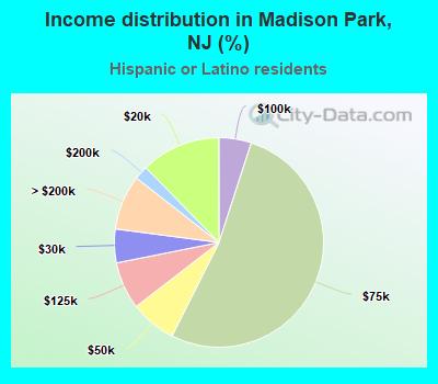 Income distribution in Madison Park, NJ (%)