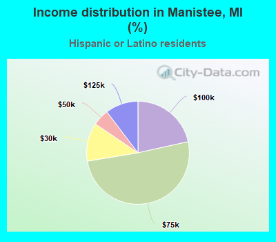 Income distribution in Manistee, MI (%)