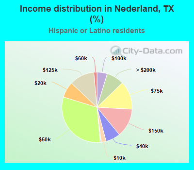 Income distribution in Nederland, TX (%)