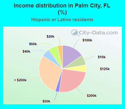 Income distribution in Palm City, FL (%)
