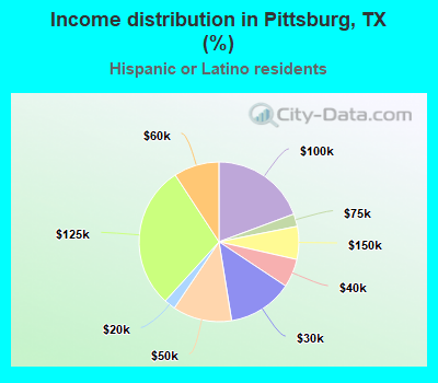 Income distribution in Pittsburg, TX (%)