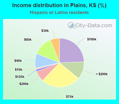 Income distribution in Plains, KS (%)
