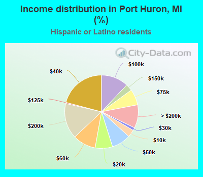 Income distribution in Port Huron, MI (%)