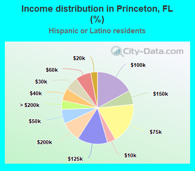 Income distribution in Princeton, FL (%)