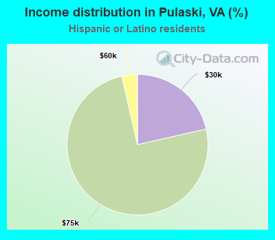 Income distribution in Pulaski, VA (%)