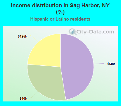 Income distribution in Sag Harbor, NY (%)