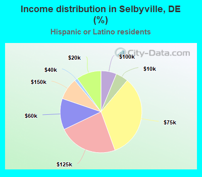 Income distribution in Selbyville, DE (%)