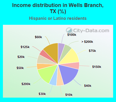 Income distribution in Wells Branch, TX (%)