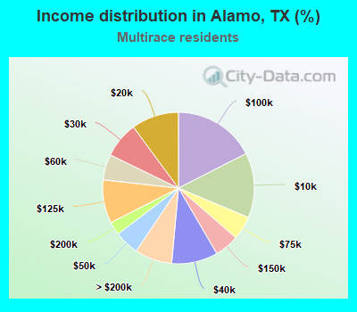 Income distribution in Alamo, TX (%)