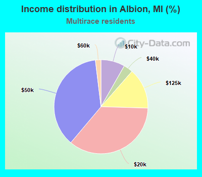 Income distribution in Albion, MI (%)