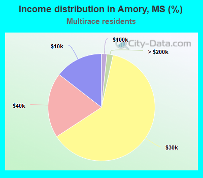 Income distribution in Amory, MS (%)