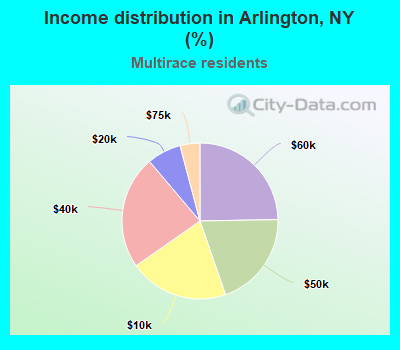 Income distribution in Arlington, NY (%)