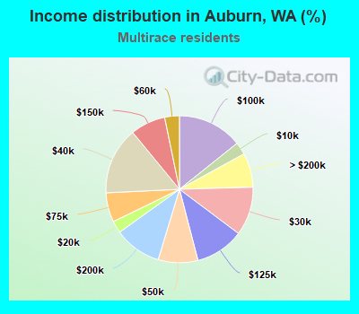 Income distribution in Auburn, WA (%)