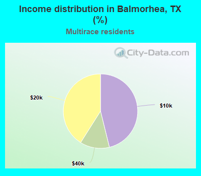 Income distribution in Balmorhea, TX (%)