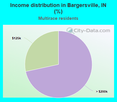 Income distribution in Bargersville, IN (%)