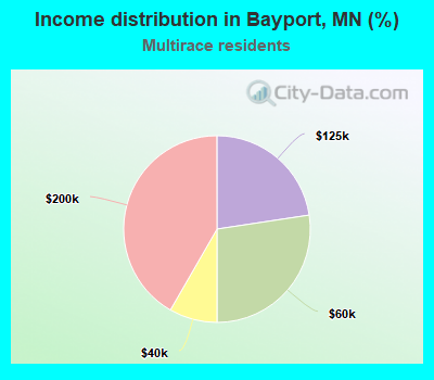 Income distribution in Bayport, MN (%)